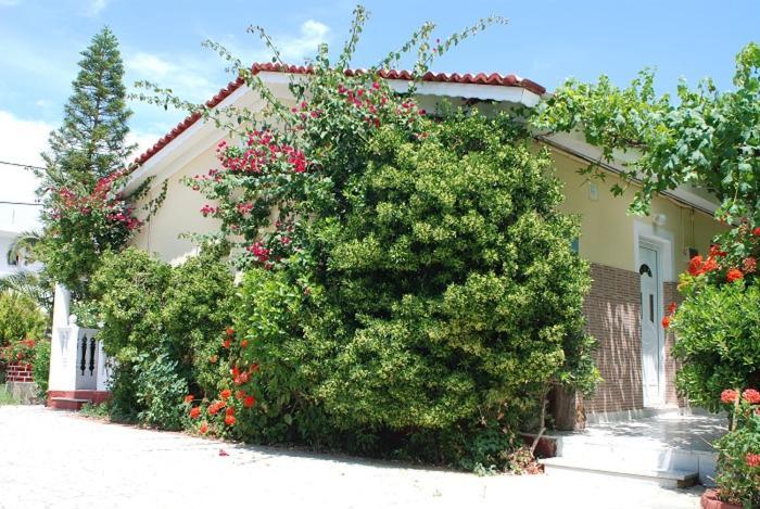 Manao Summer House Tsilivi  Buitenkant foto